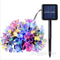 سلسلة ضوء زهر الكرز LED Solar